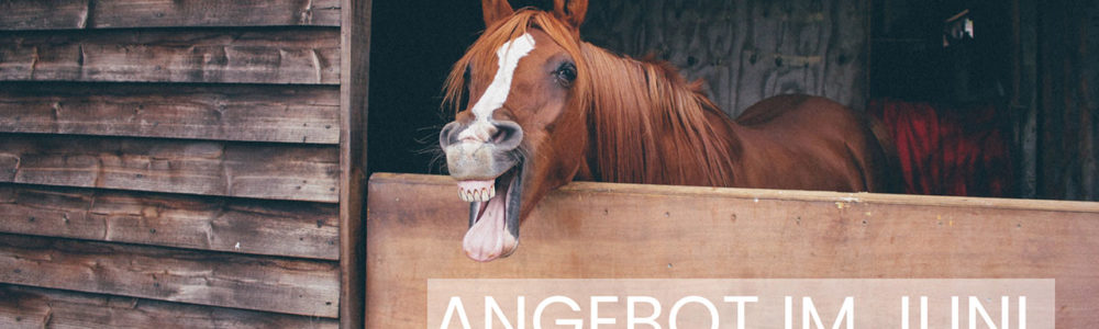 Juni Angebote